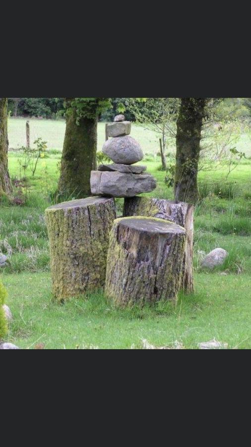 Hafan Y Coed - Haven Of Trees Bed & Breakfast Abercraf Luaran gambar